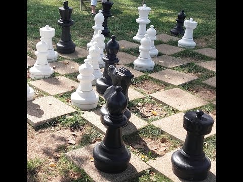 Taktičke žrtve figura zbog pobede - BRONSTEIN vs VEDDER - Damina Inijska odbrana  # 1138