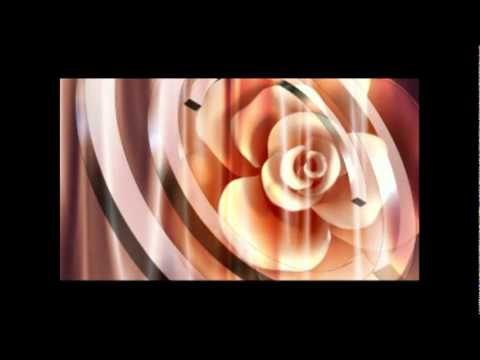 Xheneti është Shkallë-Shkallë - Dr. Shefqet Krasniqi