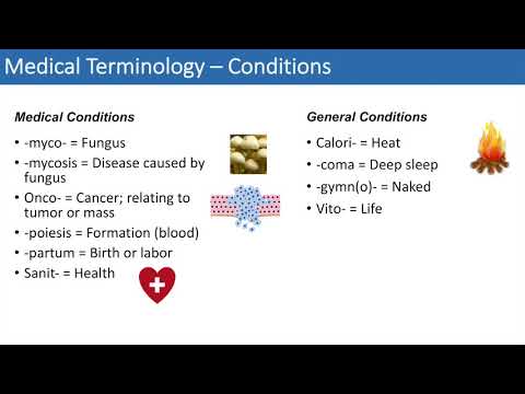Medical Terminology - The Basics - Lesson 4