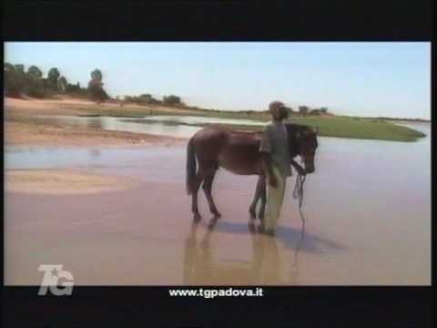 Pallavolo Padova - It's time for Africa!