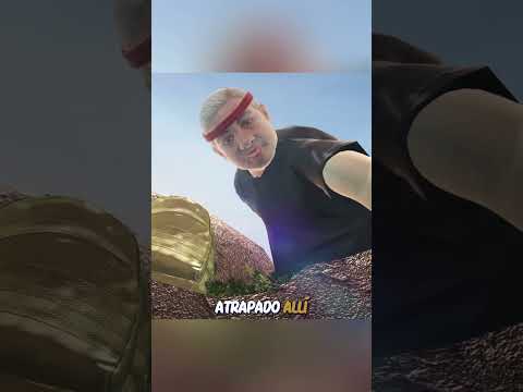 Estos perros arriesgaron todo para salvar a los humanos… y el último te derretirá el corazón 🐾❤️