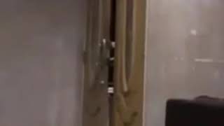 Download lagu #RNAVIRAL Pencuri masuk rumah 😨😱😨😱😨😱 mp3 Download lagu #RNAVIRAL Pencuri masuk rumah 😨😱😨😱😨😱 mp3