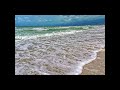 Fabliau of Florida