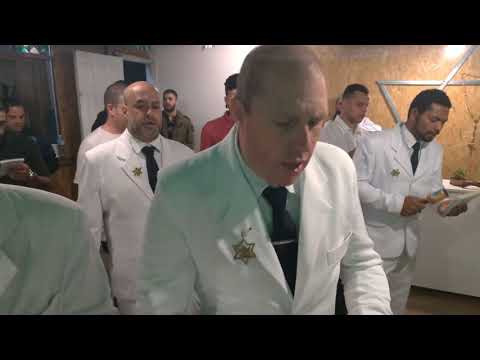 26 - Leão Branco - Mestre Irineu