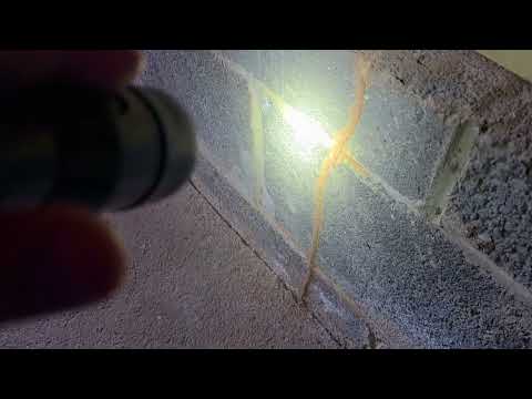 Mud Tubes & Damage from Termites Found in Garage in New Brunswick, NJ