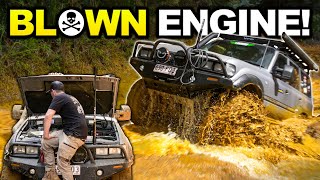 Sooty's first trip goes WRONG! Disaster in Tassie: Overnight engine swap, breakages & panel damage! Sooty's first trip goes WRONG! Disaster in Tassie: Overnight engine swap, breakages & panel damage!