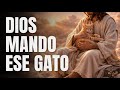 ¿Por Qué Dios Puso Ese Gato en Tu Camino? 🙏🏻🐱✨️
