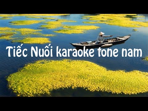 Nuối Tiếc karaoke tone nam