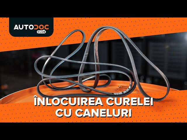 Urmăriți un ghid video despre înlocuire SEAT Leon SC (5F5) Curea alternator