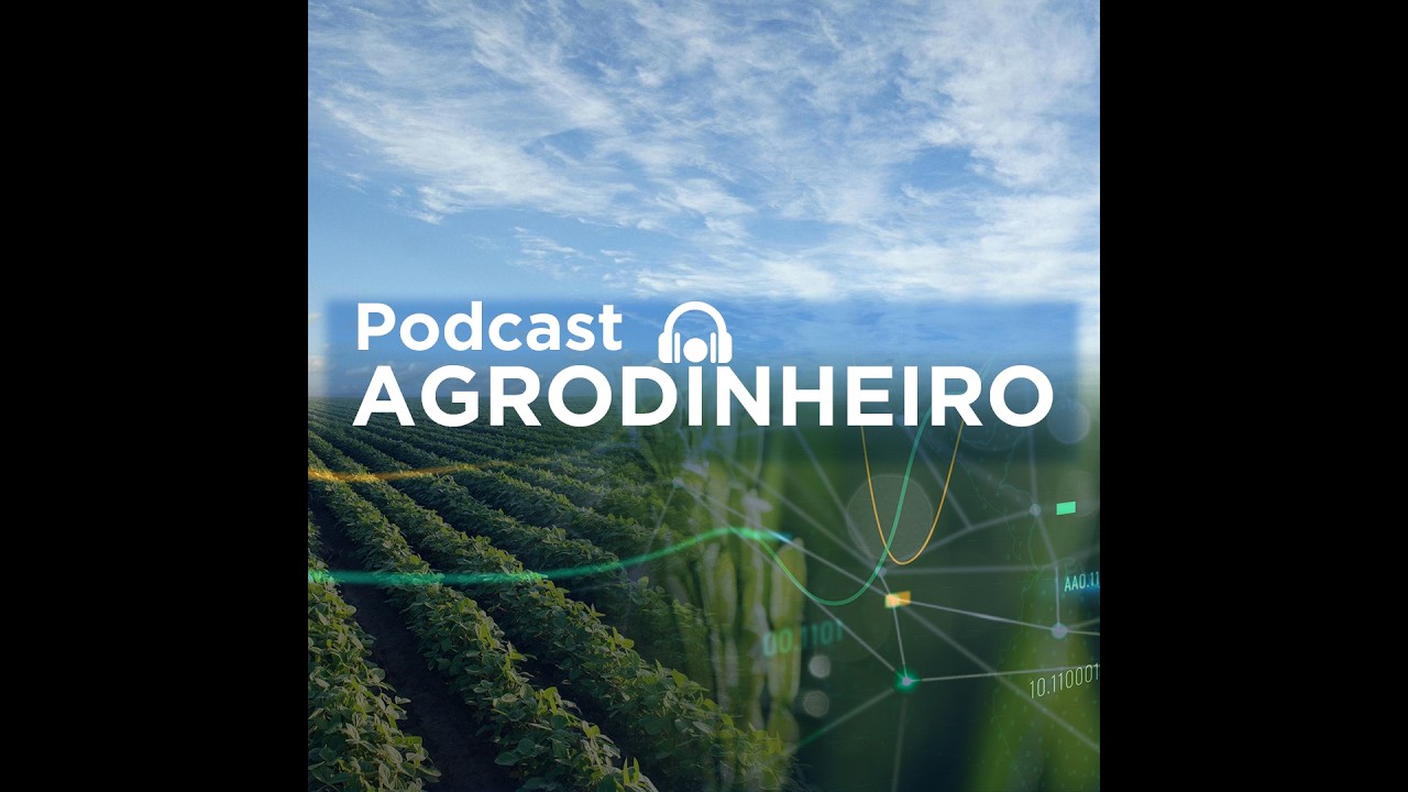 #568 AgroDinheiro: Petróleo com queda acima de 5% derruba commodities em Chicago