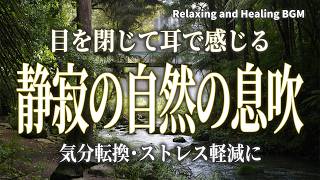 【リラックスBGM】ただ目を閉じて大自然の息吹を感じてください／疲労回復･ストレス軽減･リラクゼーション