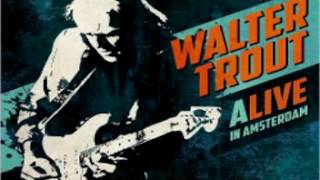 Walter Trout - The Love That We Once Knew (Live)