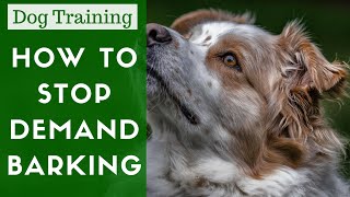 How To Teach Your Dog Not To Demand Bark