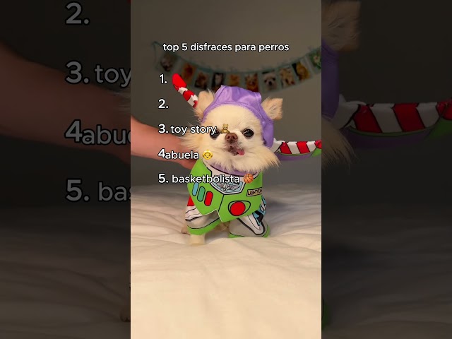 Vídeo relacionado con Tiiyee Disfraz De PolicíA para Mascotas, Disfraces Pequenos Perro Policia Gatos Divertido Cachorro PequeñOs Traje Fiestadisfraz Carnaval Cosplay Prop Festival Navidad DecoracióN Halloween S