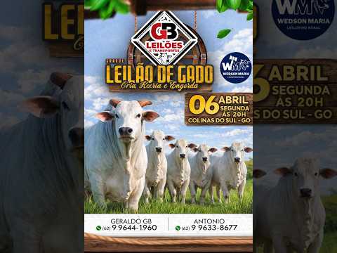 LEILÃO DE GADO DE CORTE - GB LEILÕES COLINAS DO SUL - GO - 06/04/2026