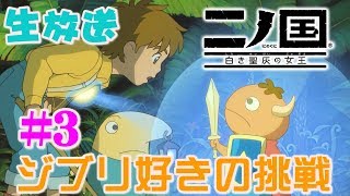 ＜SONY信者＞任天堂Switch　ジブリ好きが挑戦していく！ ＃3(Ni no Kuni: Wrath of the White Witch)