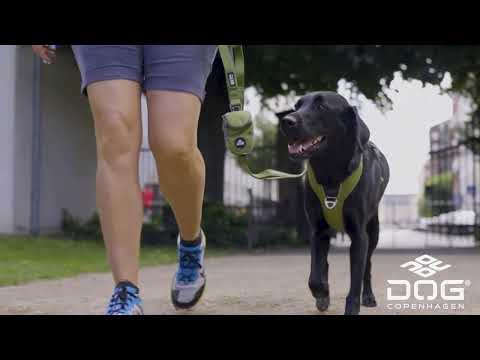 Шлея для собак Dog Copenhagen Comfort Walk Pro Harness оранжевая (S) - фото 1 - id-p2492736342