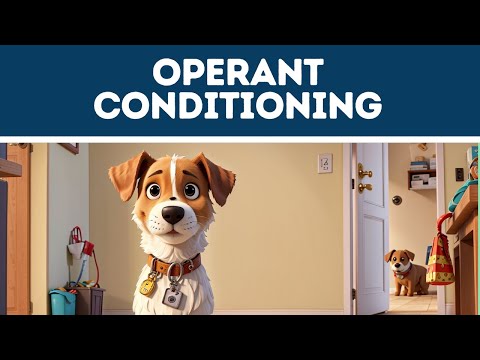 Operant Conditioning  (Explained in 3 Minutes)
