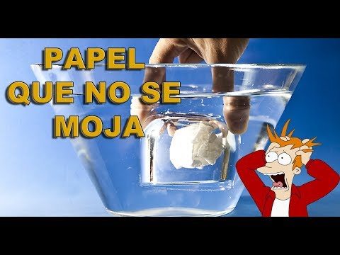 EL PAPEL QUE NO SE MOJA | EXPERIMENTO PARA NIÑOS
