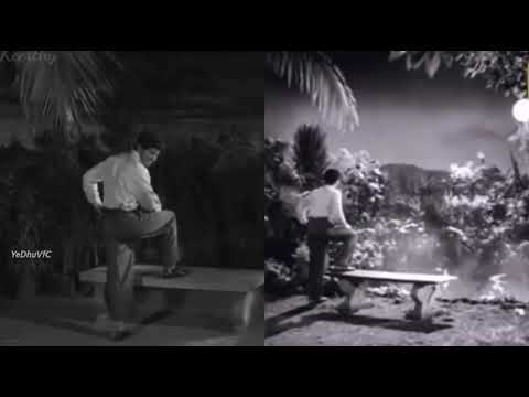 #DQ AS #Gemini Ganesan🥰 #Keerthi AS #Savitri Ganesan😘 Song:Vaarayo Vennilave🎼 FiLm👉#Missaimma(19