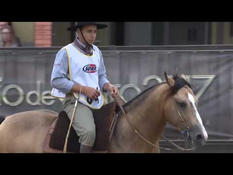 La castellana esplendor