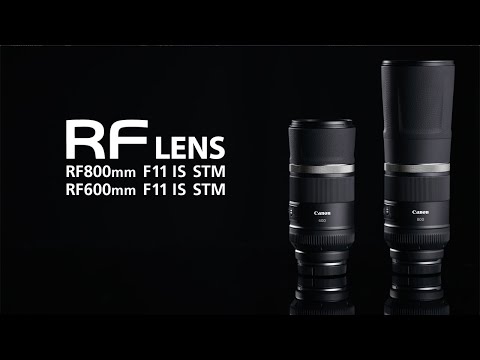 Canon RF 800mm f/11 IS STM Lens