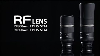 Video 2 of Product Canon RF 800mm F11 IS STM Full-Frame Lens (2020)