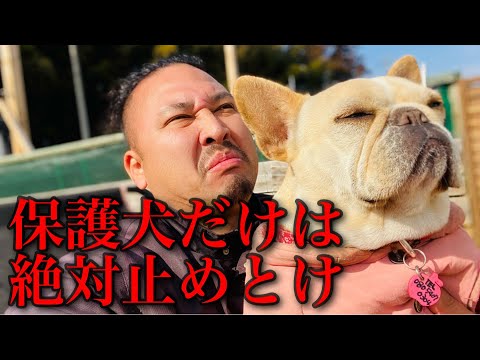 「犯罪現場: 陰謀」: 2 匹の犬が問題解決に貢献