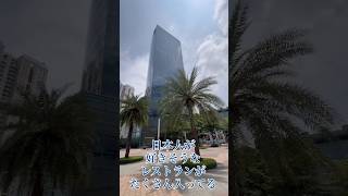 【放浪好き海外生活】インドのグルガオンにあるHorizon Plazaへ✨🌏 多種多様なレストランがずらり！綺麗で素敵なインド᯽Plumeria Vlog ᯽ #インド生活 #グルガオン生活