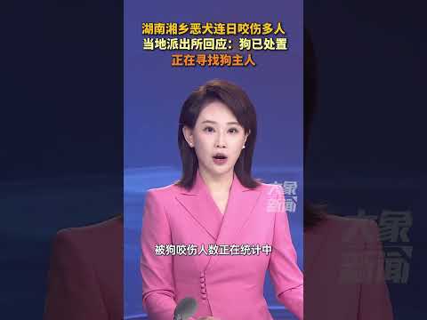 湖南湘乡恶犬连日咬伤多人，当地派出所回应：狗已处置，正追查狗主人#大象主播说