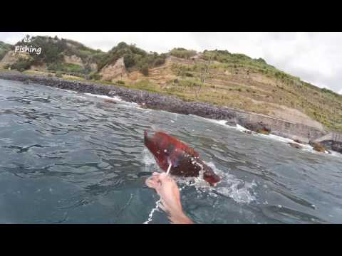 Spearfishing Azores 2016 part 2