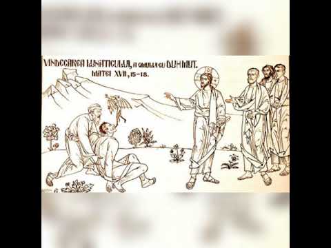 Pr. Antonie - Predică la Duminica a 10-a după Rusalii, Vindecarea lunaticului