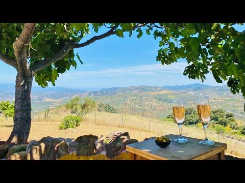 AX1184 Casa Pura Vida, Colmenar - SOLD!