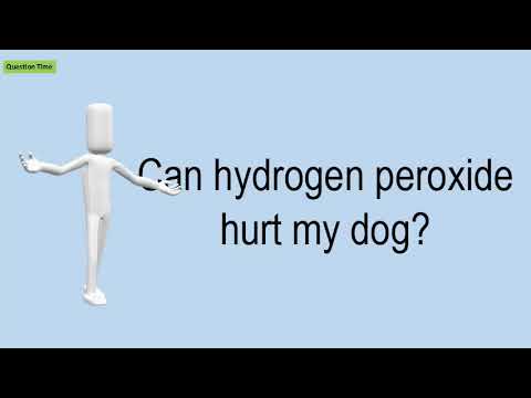 Can Hydrogen Peroxide Hurt My Dog?