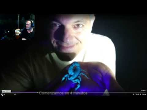 Destacado: HOY TOCA REFLEXION # FRANK CUESTA # SOBRE LA NUEVA LEY ## ANIMALISTA