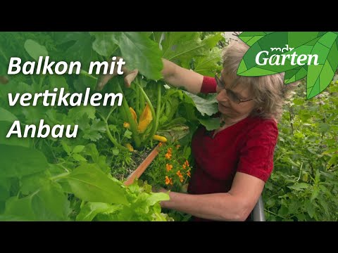 , title : 'Balkonien: Selbstversorgung mit vertikalem Anbau | MDR Garten'