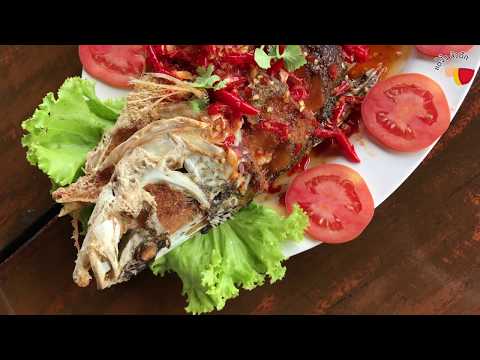 คลิกเพื่อดูคลิปวิดีโอ