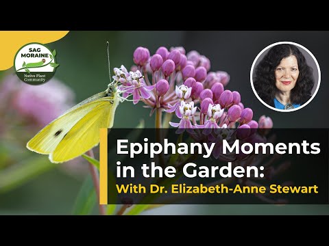 Celebrating Epiphany Moments & Native Plants