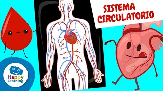 El Sistema Circulatorio Para Niños| Happy Learning ❤️🩺🩸