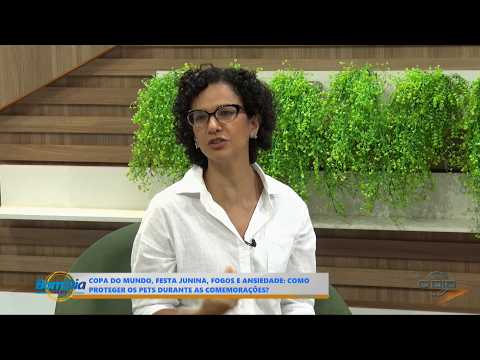 O Dia TV