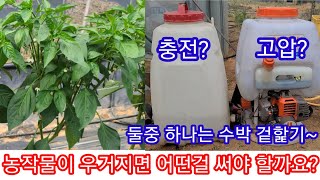 고추또는 농작물이 우거지면 사용 해야하는 농약 분무기는?~엔진분무기 농약살포기,충전분무기,귀농귀촌,전원일기,…