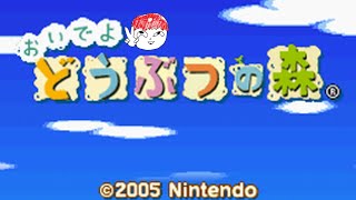 中古のおいでよどうぶつの森やる