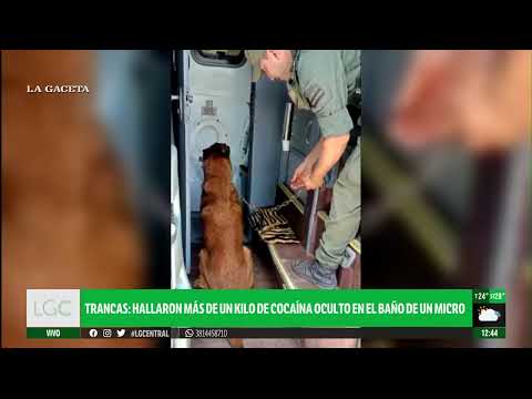 Trancas: hallaron más de un kilo de cocaína en el baño de un micro