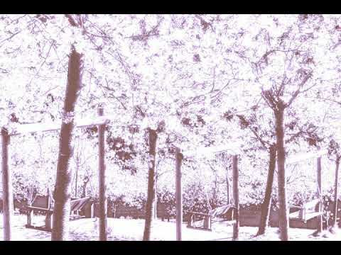 翡翠易碎 | 88vargina | slowed reverb