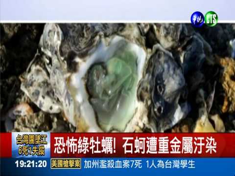 石蚵重金屬汙染 大園工業區最糟