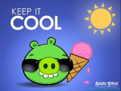 Angry Birds Summer Pignic Theme Song