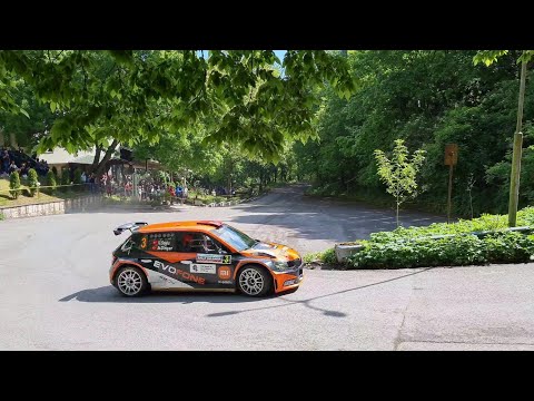 51-во международно рали "България" етап "Валерий Великов " 1