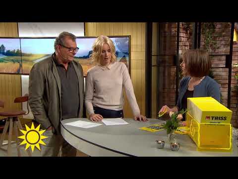 Triss-vinnaren tackar svärmor för lotten - Nyhetsmorgon (TV4)