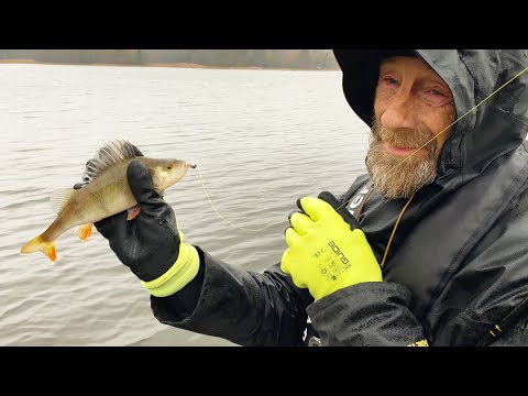 Testataan kalastusmyyttejä - Totta vai tarua?