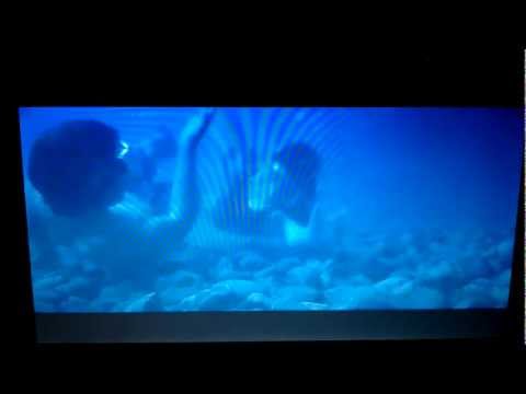 Love scene Jesse and Nadine "Free Willy 2"